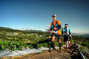 BIB: 
                            <button type="button" onclick="openModal(19122200)" class="btn btn-primary btn-sm float-right btn-popup" data-toggle="modal" data-target=".modal-high-quality">
                        <i class="fas fa-shopping-cart"></i> Add to Cart
                    </button>
                                            <button type="button" onclick="isThisMe(19122200, true)" class="btn btn-success btn-sm float-right btn-popup btn-isme hidden" data-toggle="tooltip" data-placement="bottom" title="นี่คือรูปของคุณใช่ไหม คลิกที่นี่เพื่อเอาเข้าอัลบั้ม">
                        <i class="fas fa-plus"></i> Add to album
                    </button>
                    <button type="button" onclick="isThisMe(19122200, false)" class="btn btn-warning btn-sm float-right btn-popup btn-isnotme hidden">
                        <i class="fas fa-ban"></i> Remove from album
                    </button>